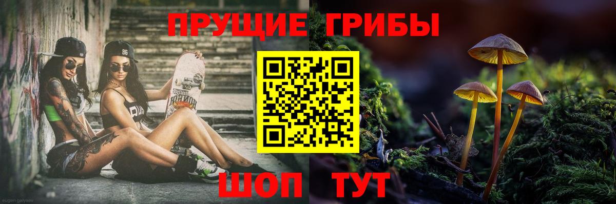 Галлюциногенные грибы GOLDEN TEACHER  Вход с VPN  Кыштым 